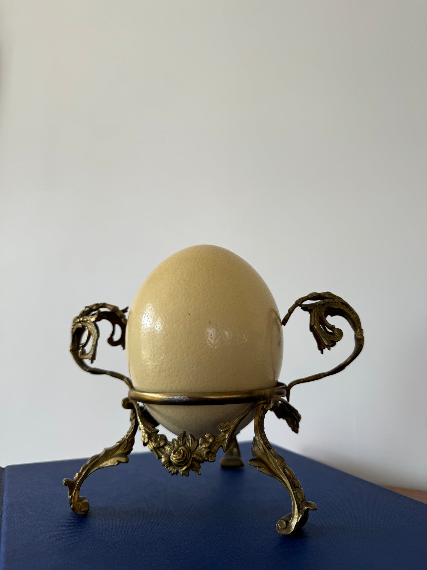 Antique late 19th century ostrich egg on foliate gilt bronze base