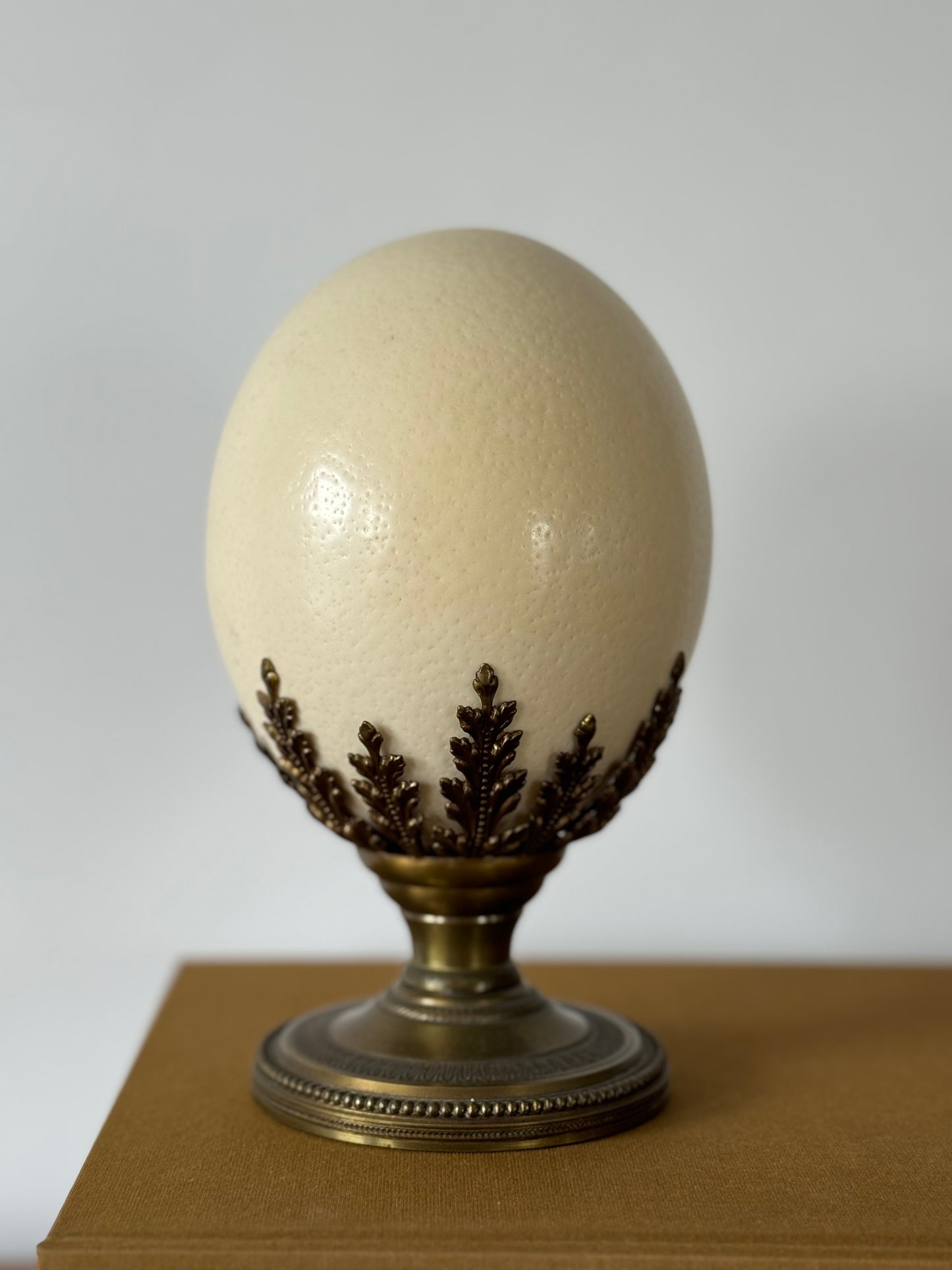 Ostrich Egg on a Neoclassical Style Brass Base