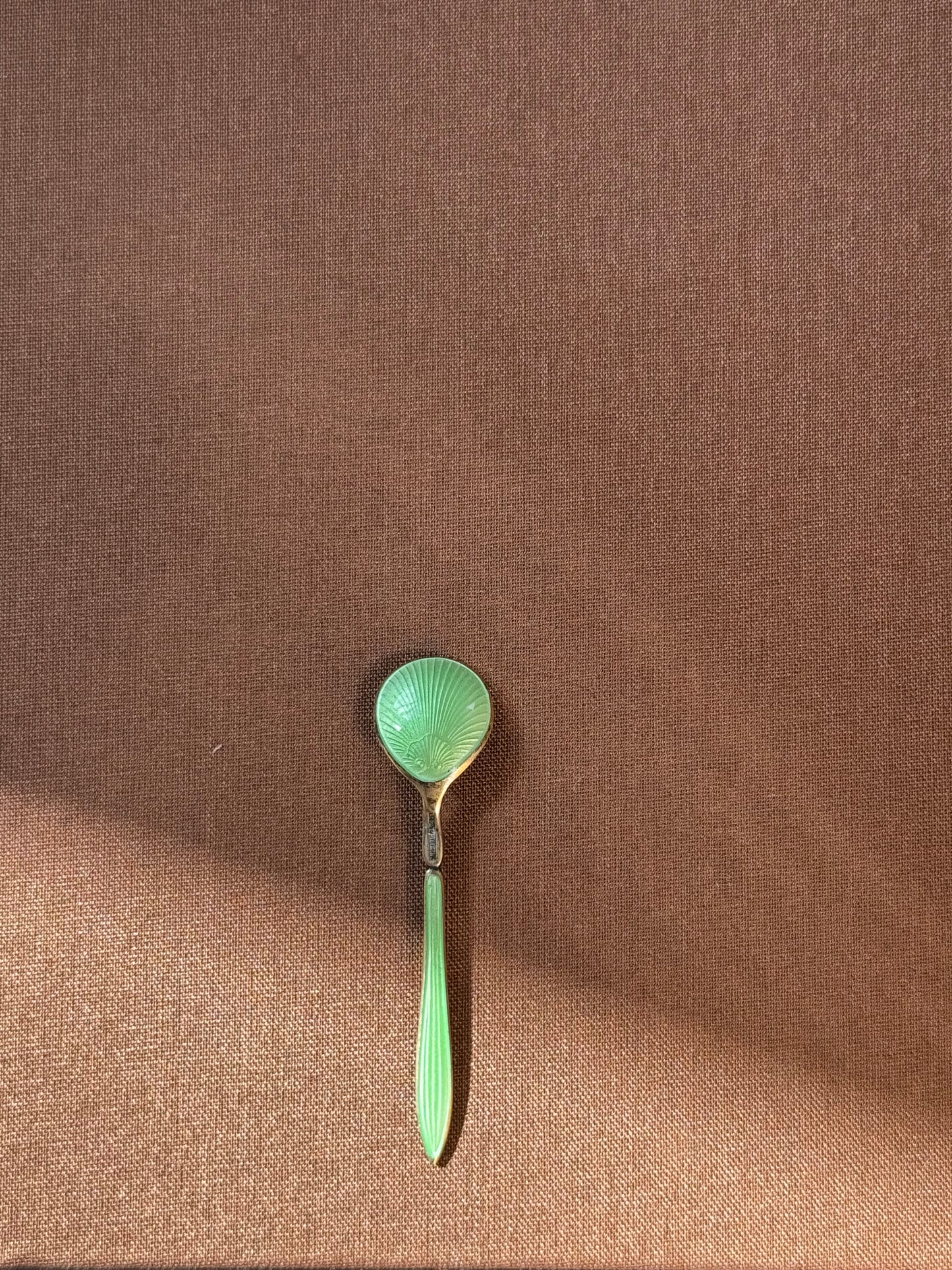 Vintage enameled salt spoon