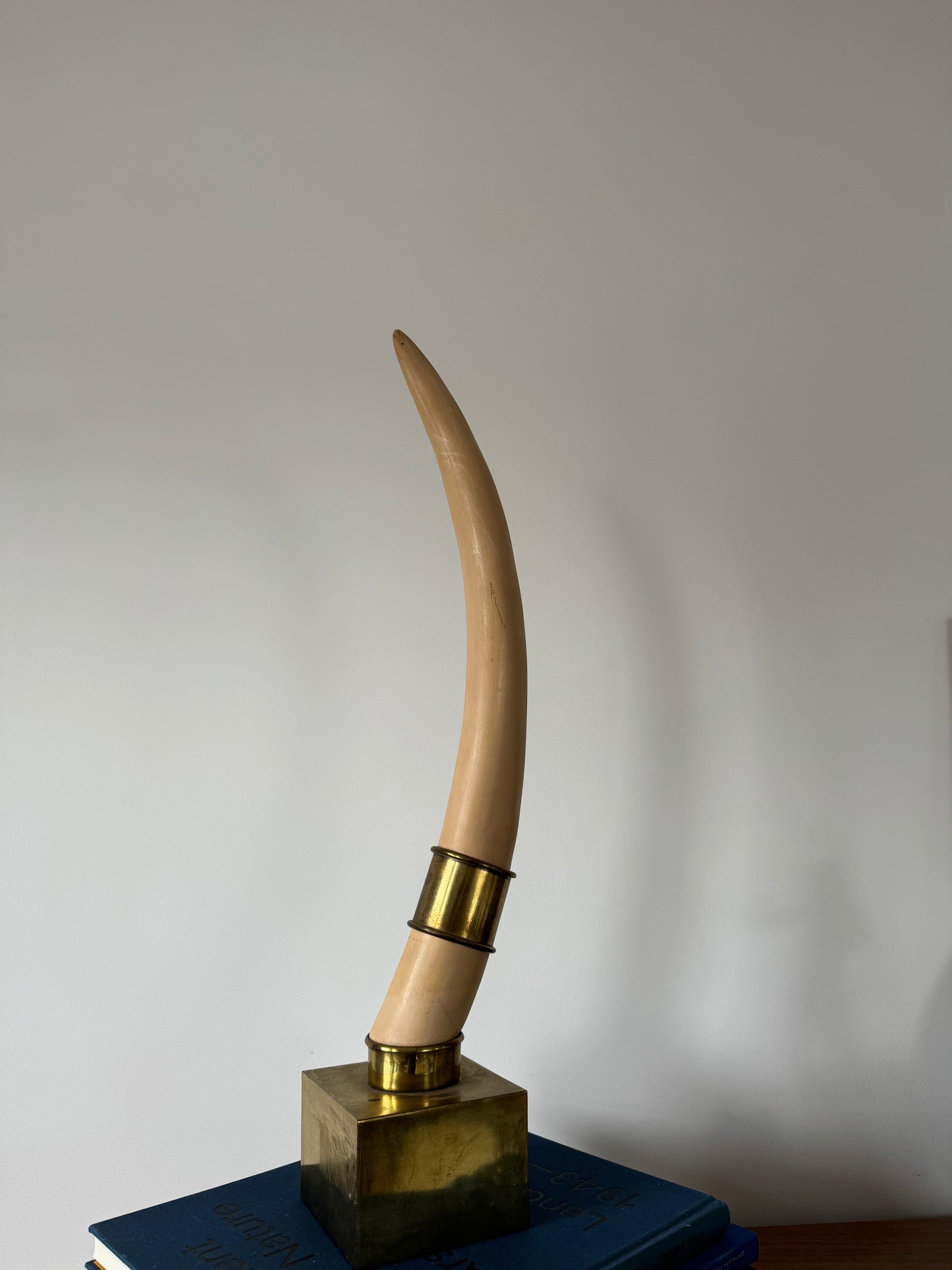 Plaster Faux Tusk Object with Brass Ring Detail