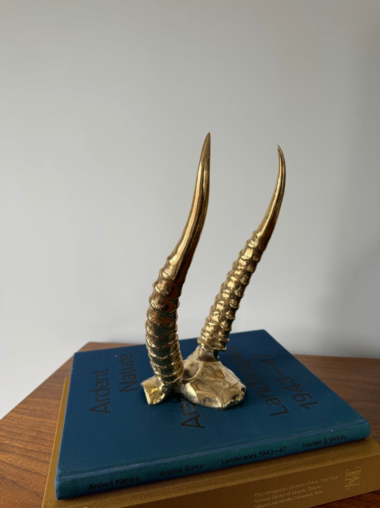 Cast Bronze Antelope Horns Skull Plate