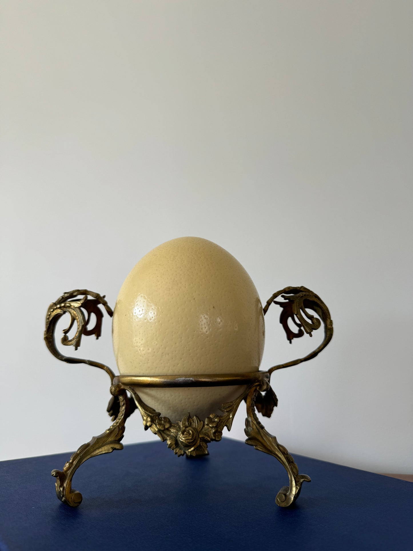 Antique late 19th century ostrich egg on foliate gilt bronze base