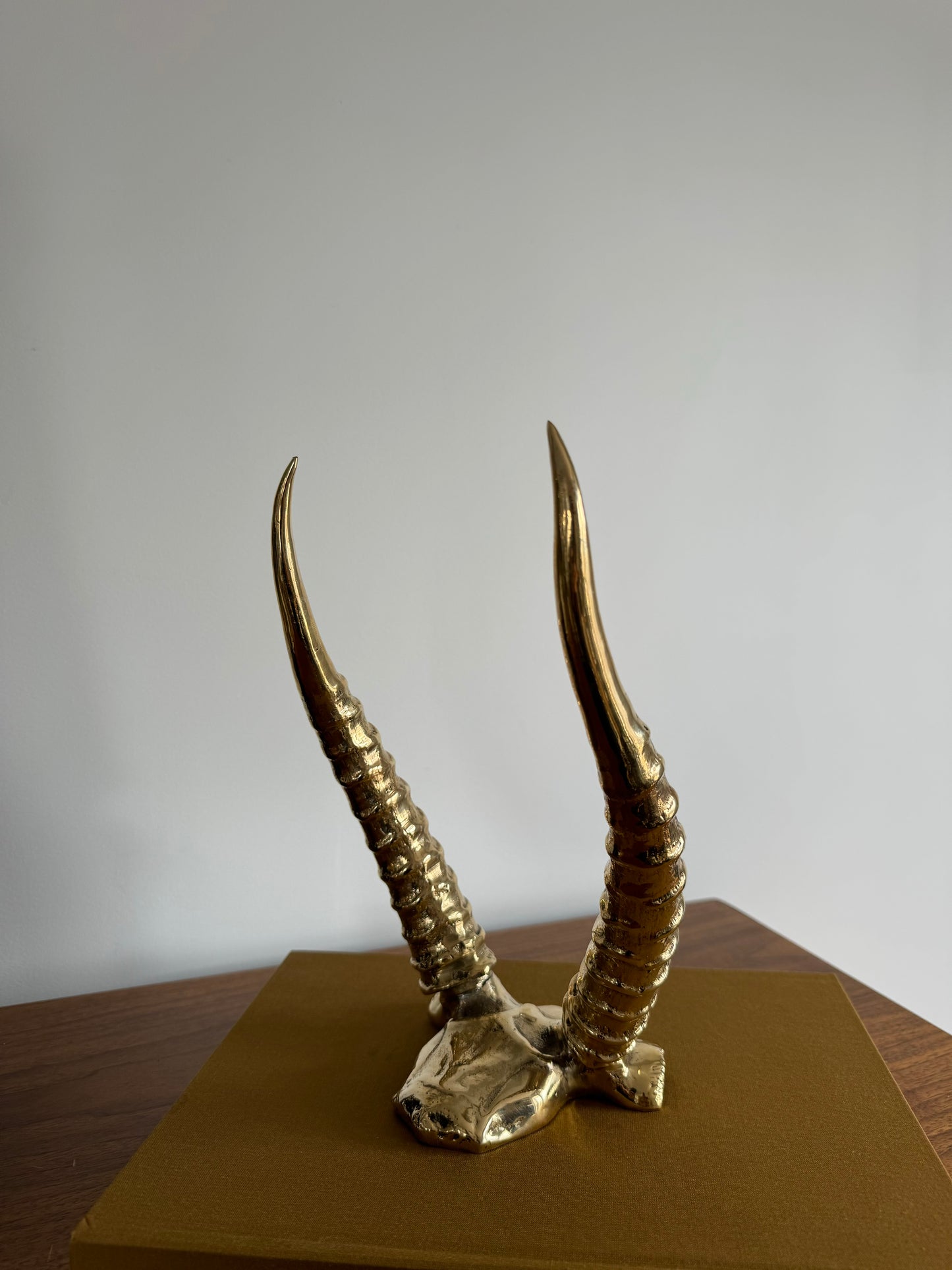 Cast Bronze Antelope Horns Skull Plate