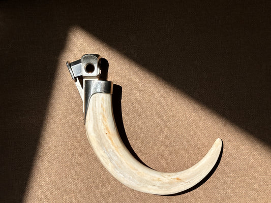 Antique Boar Tusk cigar Cutter